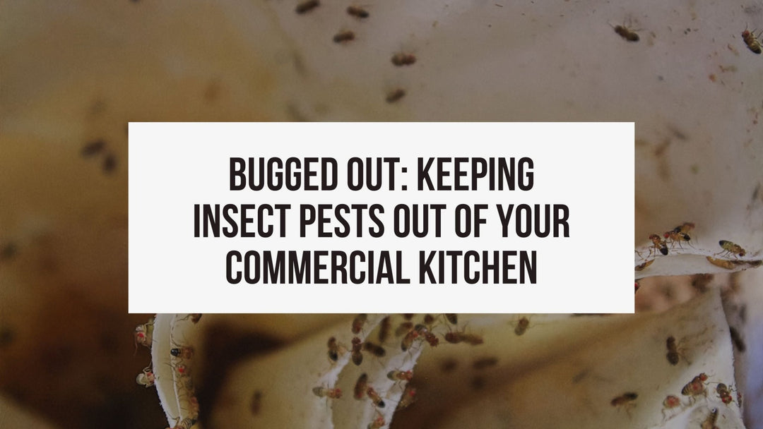 Bugged Out: Keeping Insect Pests Out of Your Commercial Kitchen - ShopAtDean