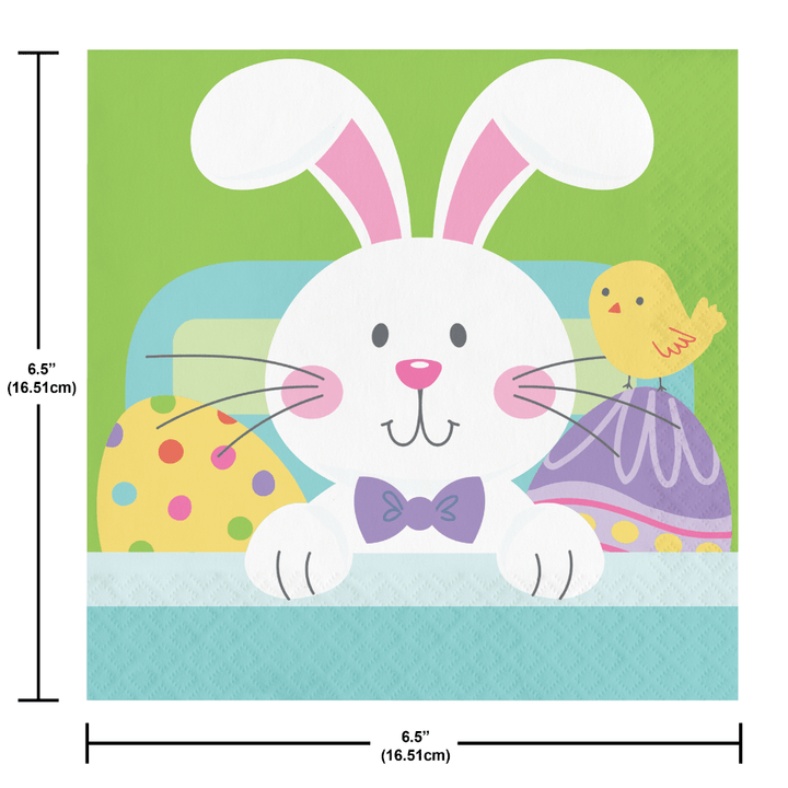 Creative Converting 373961 13" X 13" Hippity Hoppity Easter Luncheon NapkinsShopAtDean