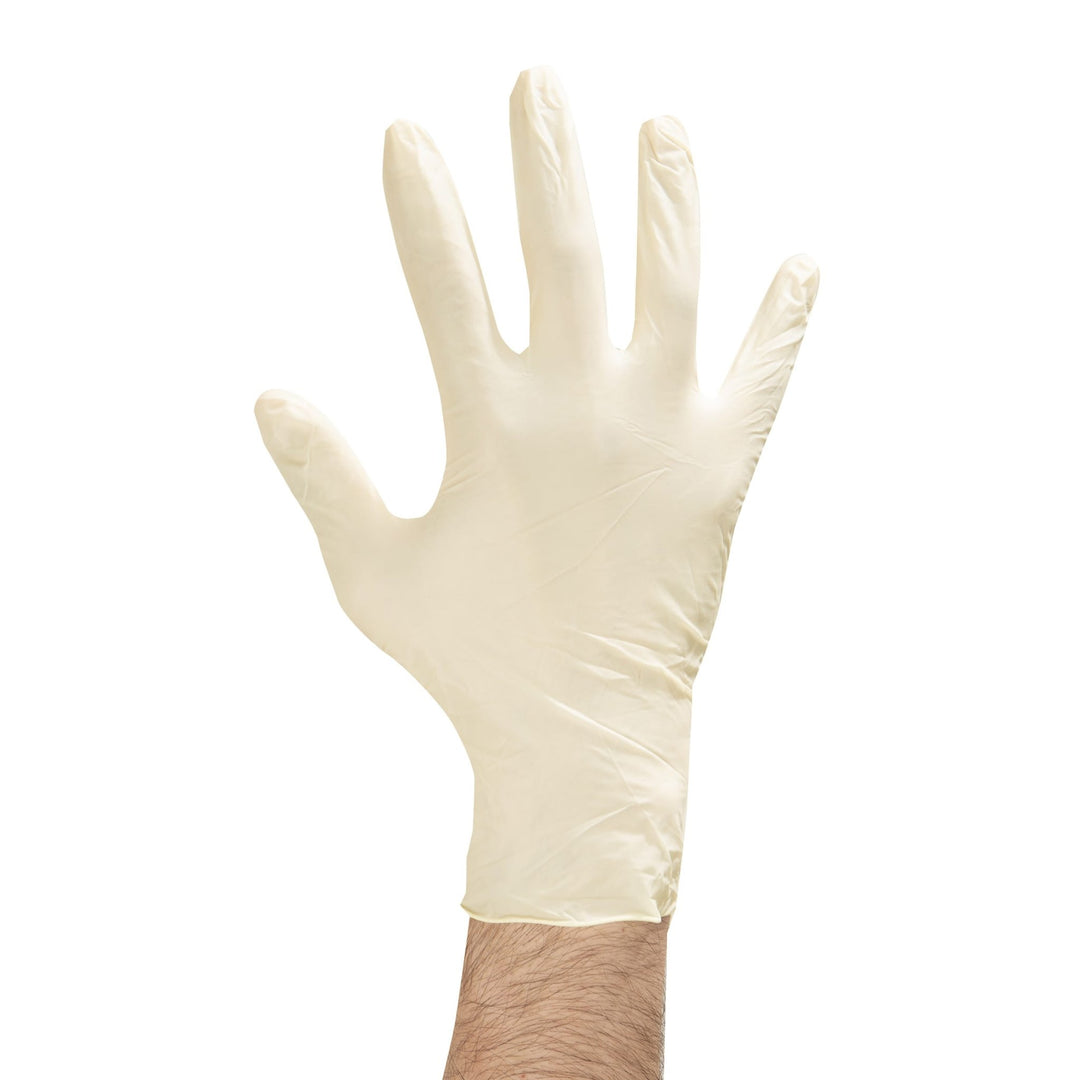 Food Handler 100 - 214 Medium Powder Free Latex GlovesShopAtDean