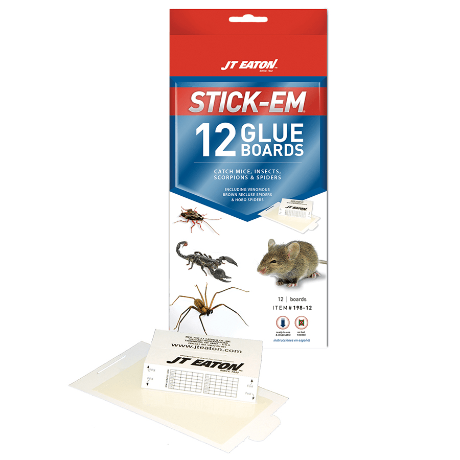 JT Eaton Stick - Em 198 - 12 12 Pack Mice Insect and Spider Glue BoardsShopAtDean